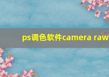 ps调色软件camera raw